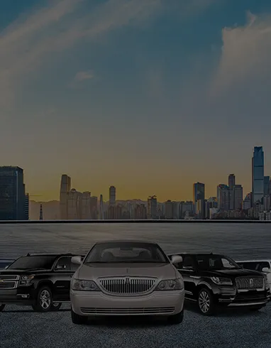 banner image